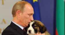 Putin receives an adorable puppy for his birthday