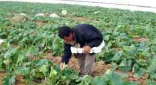 Agricultural sector in Jordan: Moving towards the abyss?