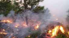 450 Trees eaten up by large fire in Ajloun