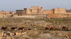Syrian Palmyra, Tadmor, to receive tourists soon