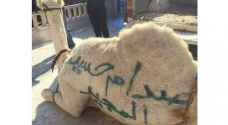 Camel sacrificed in memory of Saddam Hussein on first day of Eid Al Adha