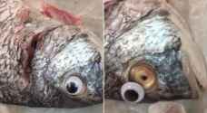 Kuwaiti fishmonger sticks fake eyes on its fish, but customers didn't take the bait