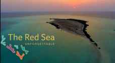 About Red Sea Project