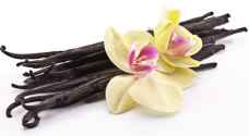 Oldest vanilla residue discovered in Palestine, predating extract found in Mexico