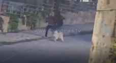 Video: Two unknown men try to steal dog in Abdoun