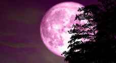 Do not miss the gorgeous 'Pink Moon' this Friday