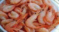 Cocaine found in shrimps inside Suffolk rivers in England