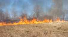 Fire breaks out in 35-dunum wheat field in Irbid