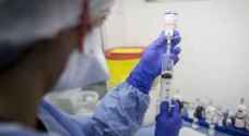 Swine flu with 'pandemic potential' discovered in China