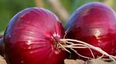 Salmonella outbreak caused by red onions in America