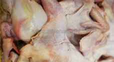 JFDA discards 4,300 KGs of Poultry due to high antibiotic levels