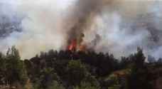 Negligence causes fire in Ajloun