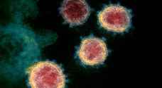 New coronavirus strain discovered in UK