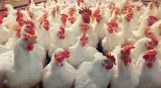 Chicken prices will not change, despite import suspensions: Agriculture Ministry