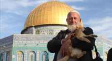 Al-Aqsa Mosque’s ‘father of kittens’ dies from COVID-19 complications