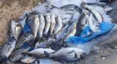 JFDA seizes 42 tons of expired fish, marine products
