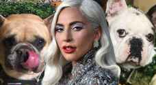 Five arrested in violent robbery of Lady Gaga's dogs