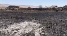 APN compensates farmers in northern Jordan Valley with seedlings following fire