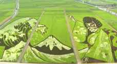 Japan city transforms agricultural land into works of art