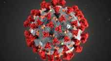 Increase in coronavirus transmission rates in Europe ‘deeply worrying’: WHO
