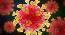 Jordan records 20 deaths and 2,349 new coronavirus cases