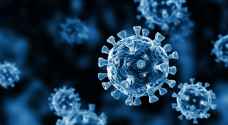 Jordan records 15 deaths and 2,387 new coronavirus cases