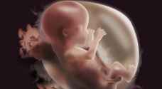 Artificial wombs could end childbirth as we know it