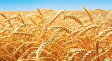 Ukraine war's impact on wheat threatens hunger in Sudan: aid group