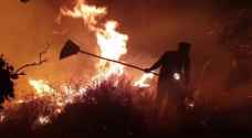VIDEO: Fire destroys 1,200 dunams of forestland in Jordan