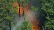 Wildfire engulfs New Jersey state park as heat wave in US moves east