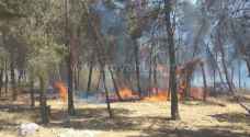 Fire breaks out in forest in Amman