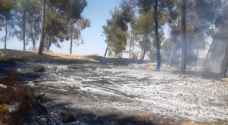 VIDEO: Fire breaks out in Amman National Park