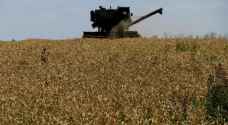 First grain shipment leaves Ukraine as southern city pounded