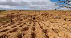 Libya finds 42 unidentified bodies in mass grave ....