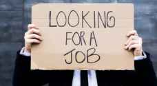 Unemployment rate highest among university graduates: labor market expert