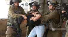 Israeli Occupation detains 15 Palestinians in Fawwar refugee camp