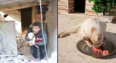 Volunteer scours ruins to save abandoned pets after Syria quake
