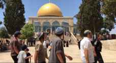 Israeli Occupation settlers storm Al-Aqsa Mosque