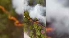 Fourteen die in Kazakhstan forest fires: official