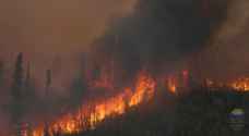 Canada wildfires burned 10 milion hectares in 2023