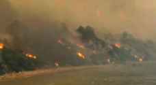 Algeria wildfires kill dozens