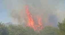 Man killed in Greece wildfires as new blazes rage
