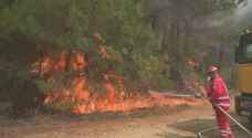 Experts blame poor government preparation for Greek fires' devastation