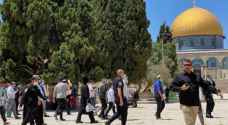 Dozens of settlers storm Al-Aqsa Mosque