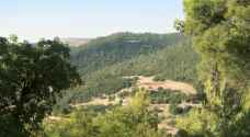 Removal of violations on forest land in Ajloun