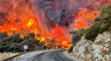Five dead, 44 injured in Turkey wildfires