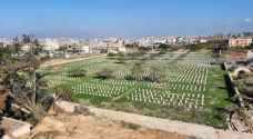 British cemeteries in Gaza untouched despite widespread destruction
