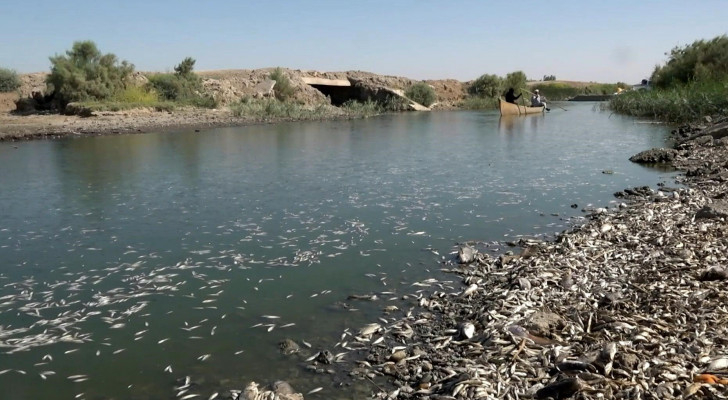 Baghdad Zoo Animals Suffer as Mercury Hits 50 Degrees