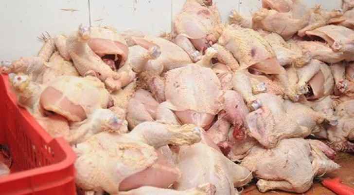 tonnes-of-spoiled-chicken-seized-and-destroyed-roya-news