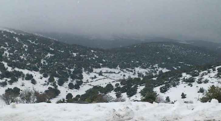 ArabiaWeather: Snowfall over Mountains | Roya News